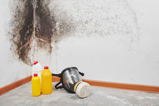 Best Crawl Space Mold Remediation in Plainsboro Center, NJ