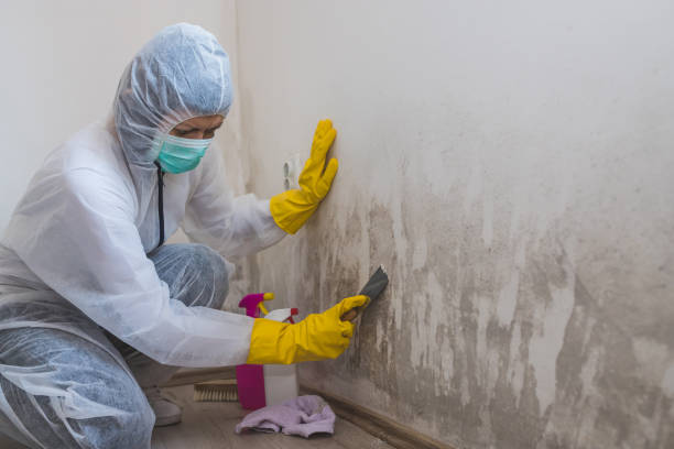 Best Residential Mold Remediation in Plainsboro Center, NJ