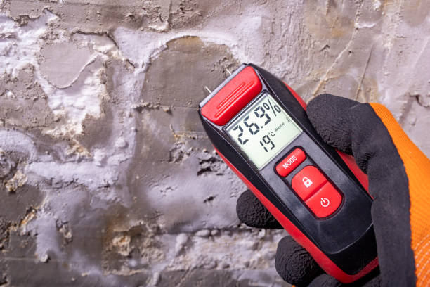 Best Emergency Mold Remediation in Plainsboro Center, NJ