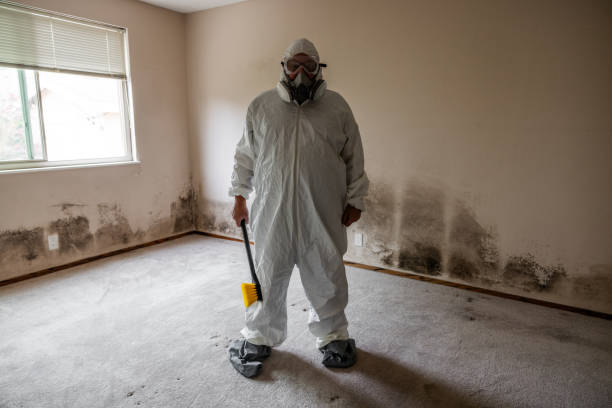 Trusted Plainsboro Center, NJ Mold Remediation Experts