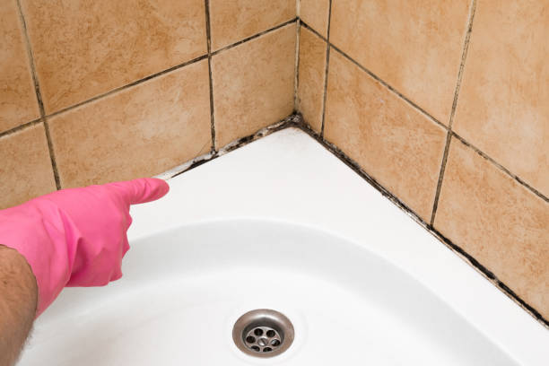 Best Kitchen Mold Remediation in Plainsboro Center, NJ